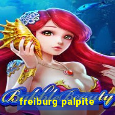 freiburg palpite